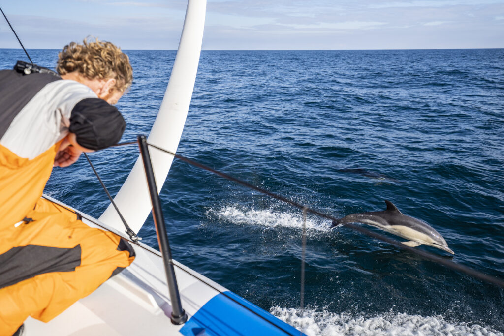 11th Hour Racing Team’s Malāma