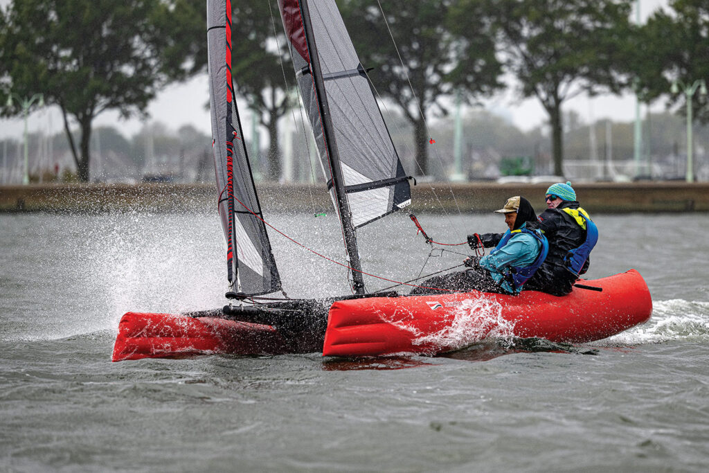 Happy Cat Star Carbon