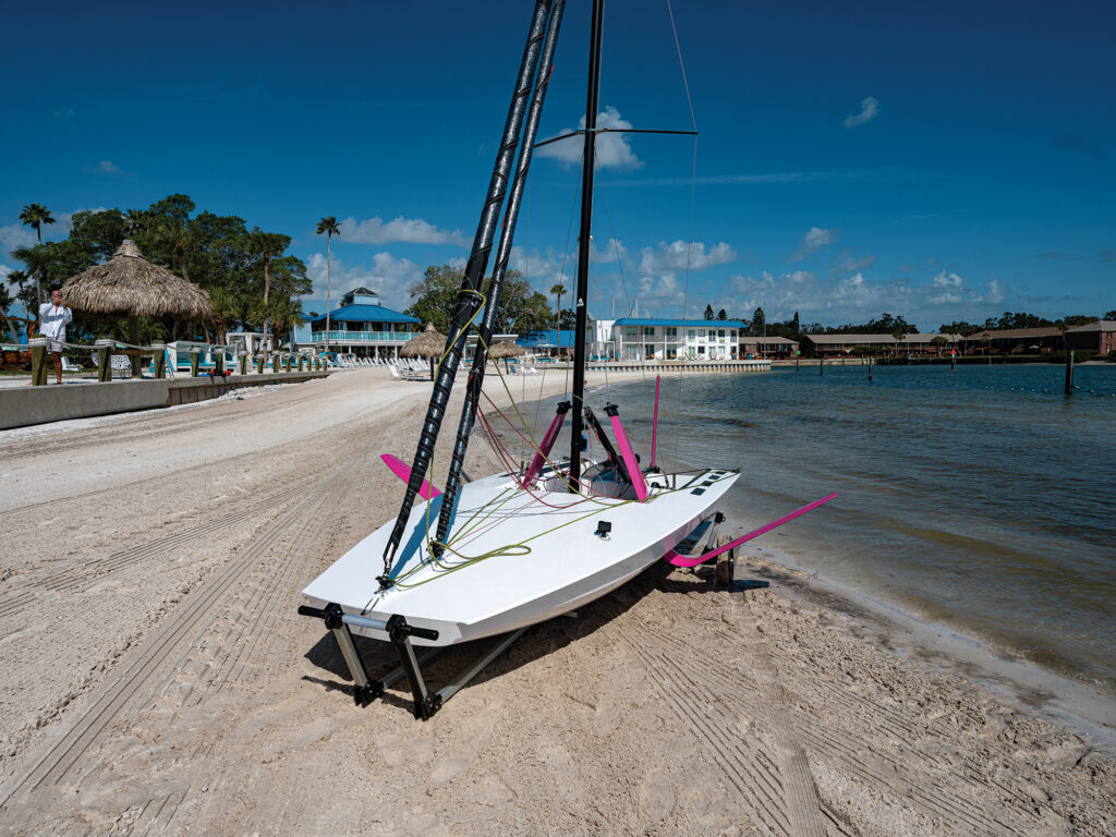 BirdyFish Race ­Edition