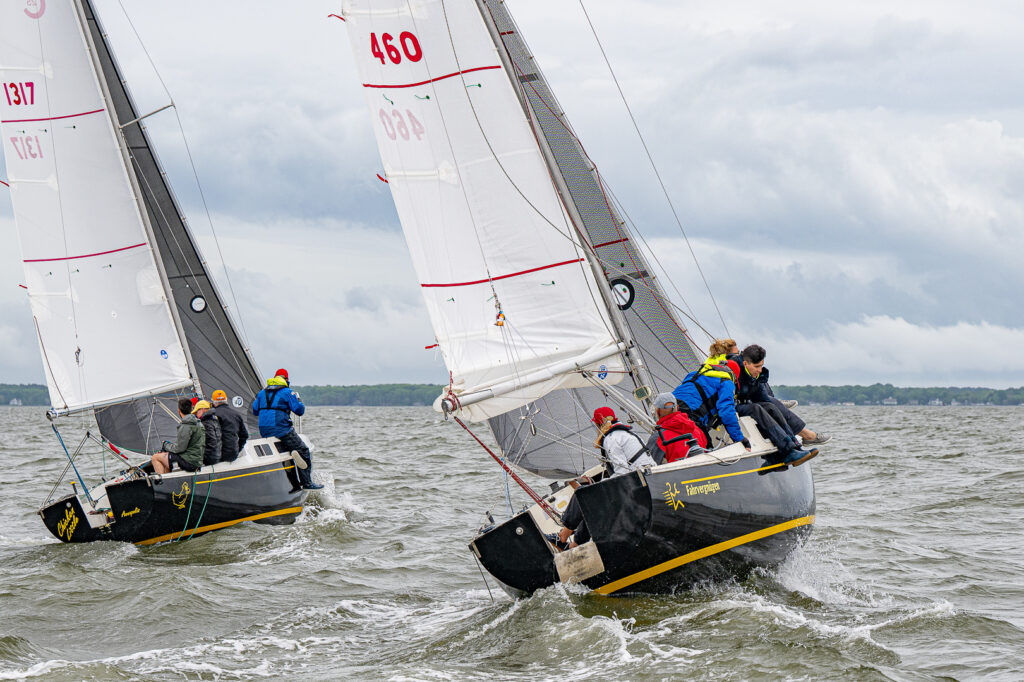 Chicken Little at the Helly Hansen Sailing World Regatta in Annapolis